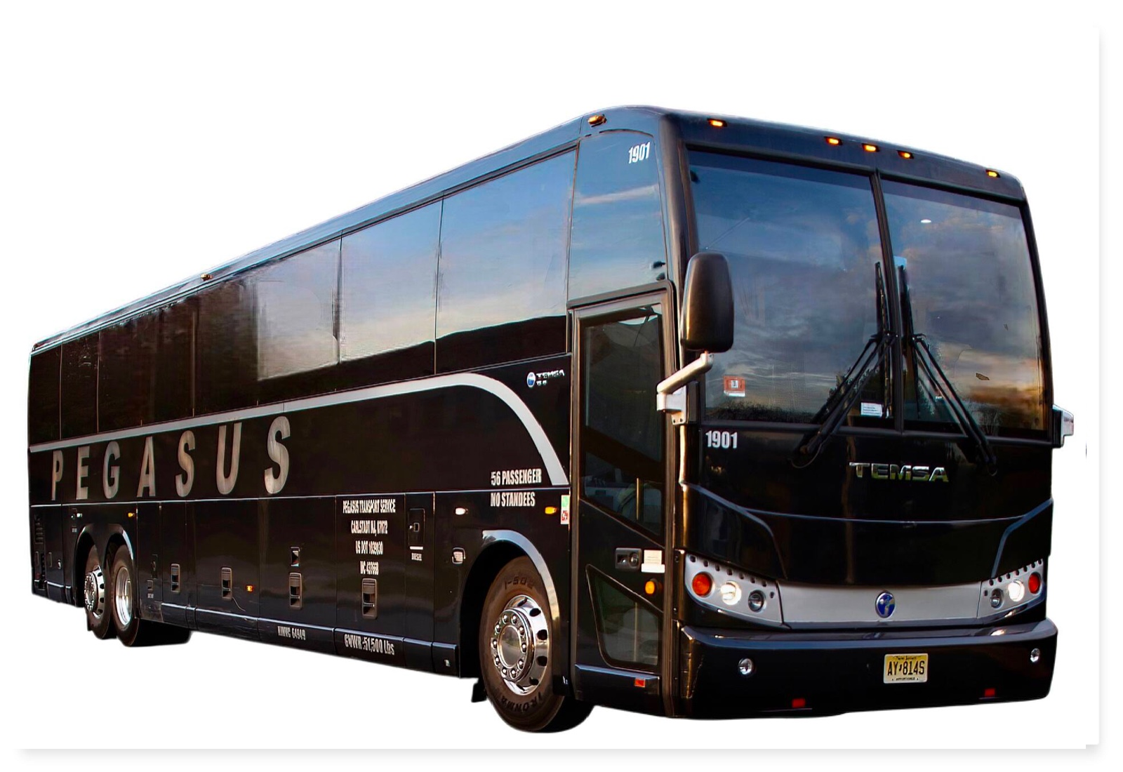 56 Passenger Coach Bus